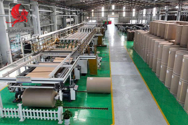 Kh&aacute;m ph&aacute; d&acirc;y chuyền sản xuất th&ugrave;ng carton hiện đại