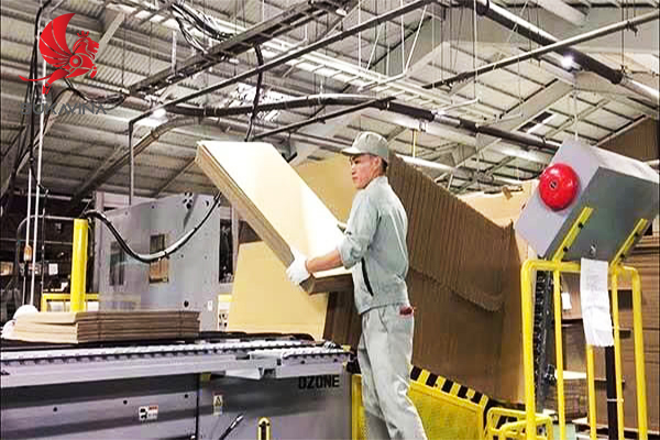 Kh&aacute;m ph&aacute; d&acirc;y chuyền sản xuất th&ugrave;ng carton hiện đại