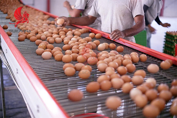 thiet-ke-bang-tai-cong-nghiep-theo-yeu-cau 2.jpg (237 KB)